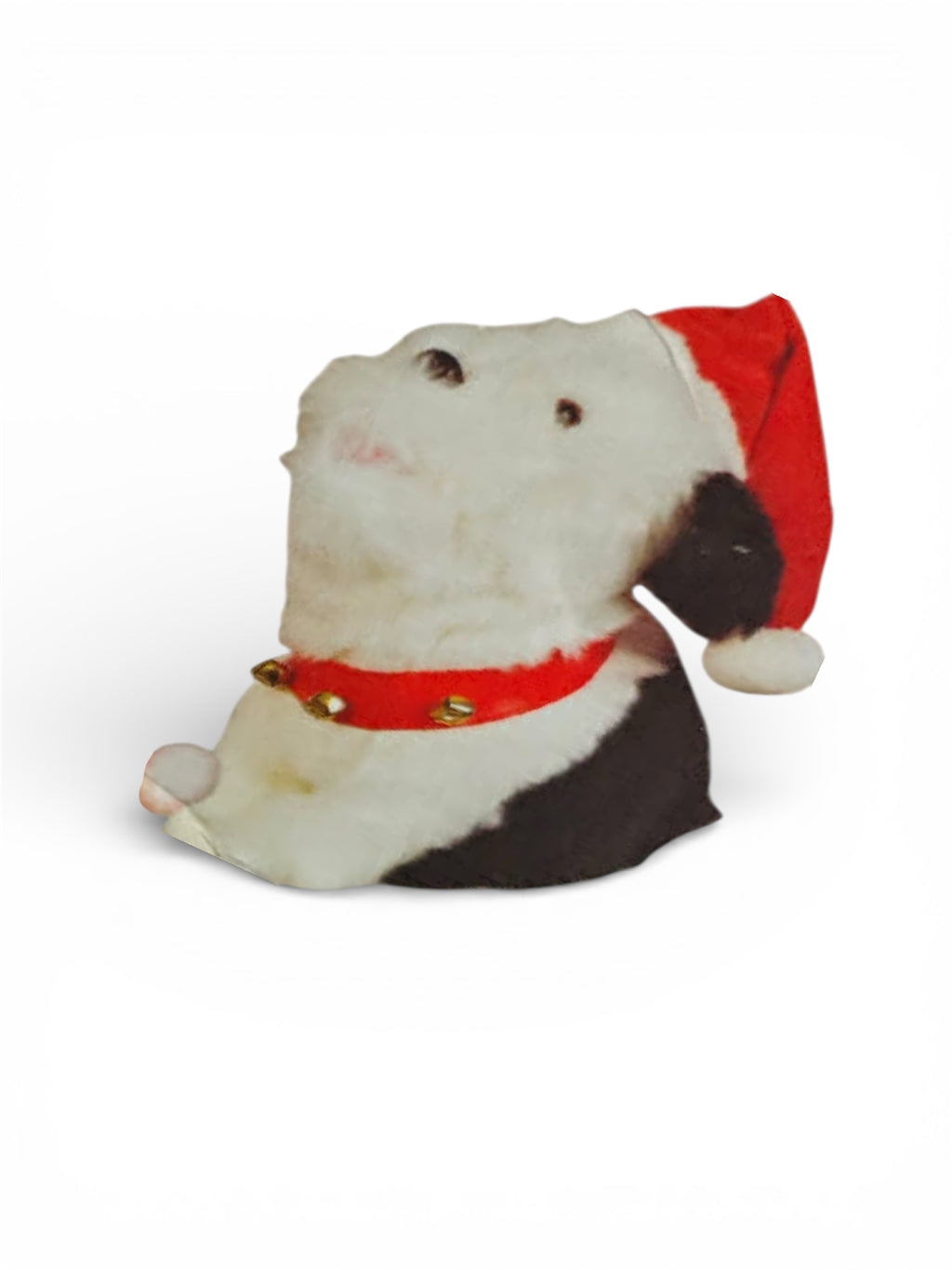 COMING SOON - Knight 2003 “Ballad Singer” Howliday Pooch