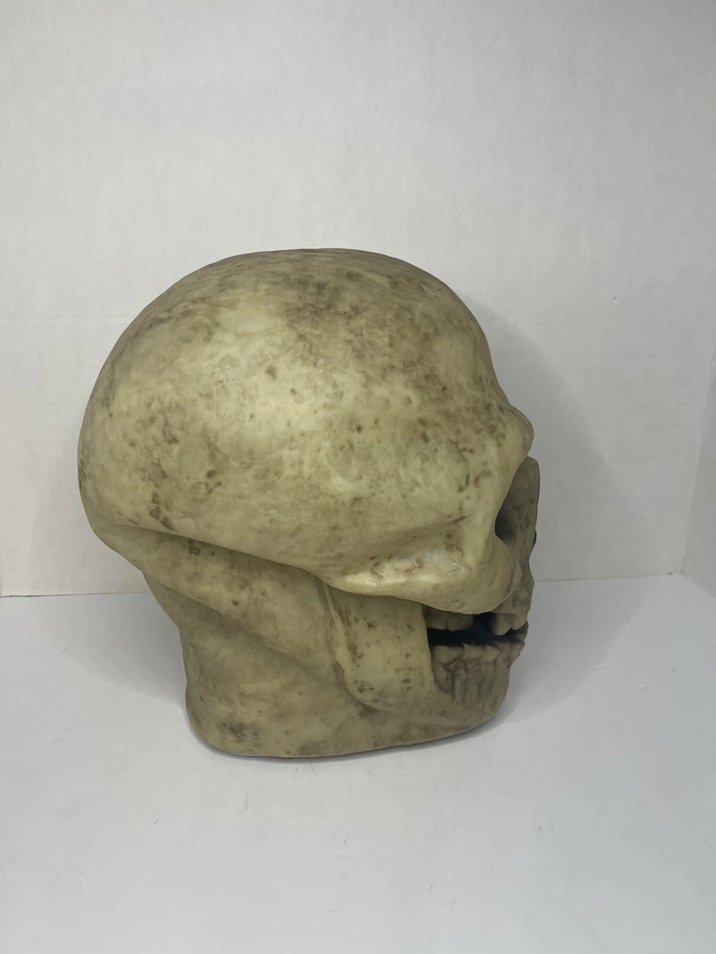 New With Tags - Gemmy Halloween Rotten Skull With Phrases Animated Talking Skull